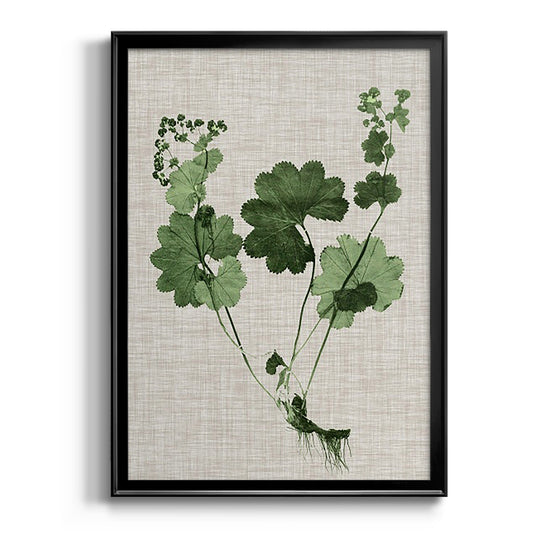 Forest Foliage on Linen I - Modern Framed Canvas Print