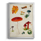 Mushroom Species VIII - Modern Framed Canvas Print