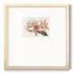 Amaryllis Varietals I - Double Matboard Framed Print