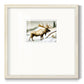 Snow Elk Premium Framed Print Double Matboard