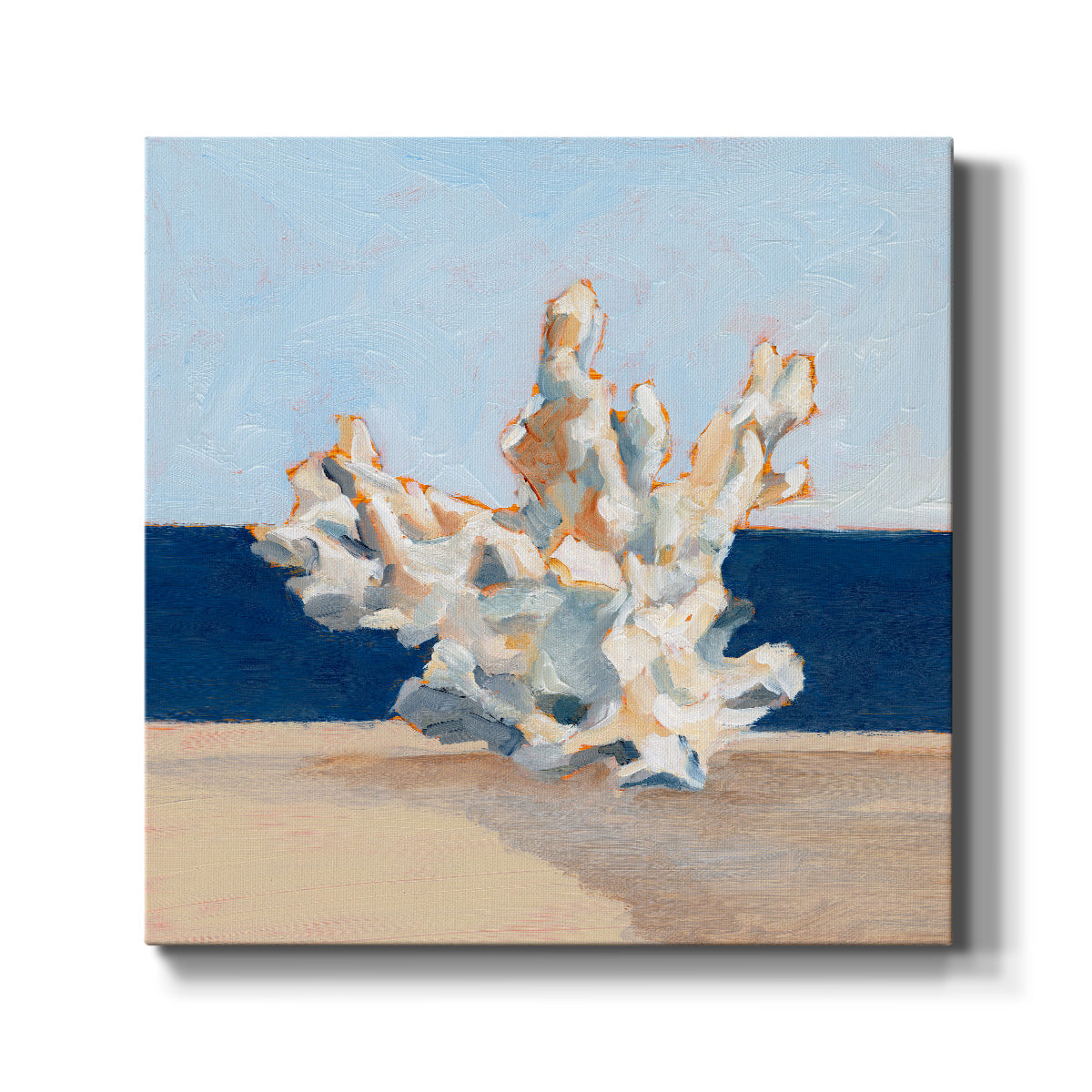 Coral By the Shore IV - Canvas Art Print