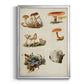 Mushroom Species X - Modern Framed Canvas Print