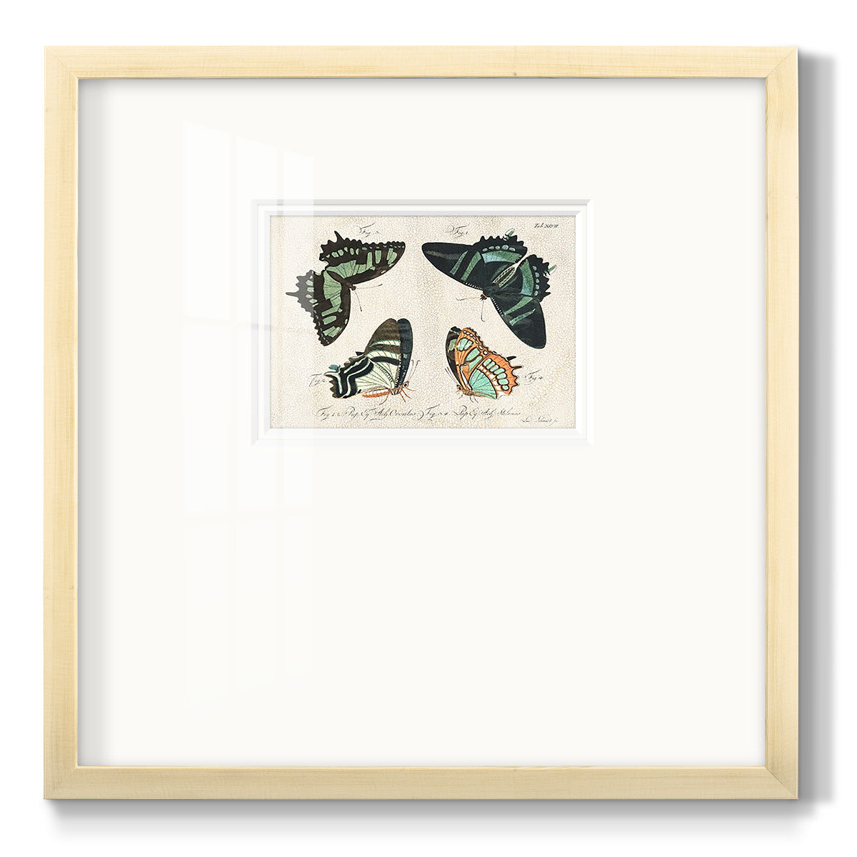 Crackled Butterflies III - Double Matboard Framed Print