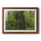 Calm of the Forest - Barnwood Framed Art Print