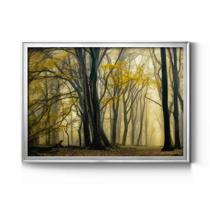 In Love with Golden Fall - Modern Framed Canvas Print