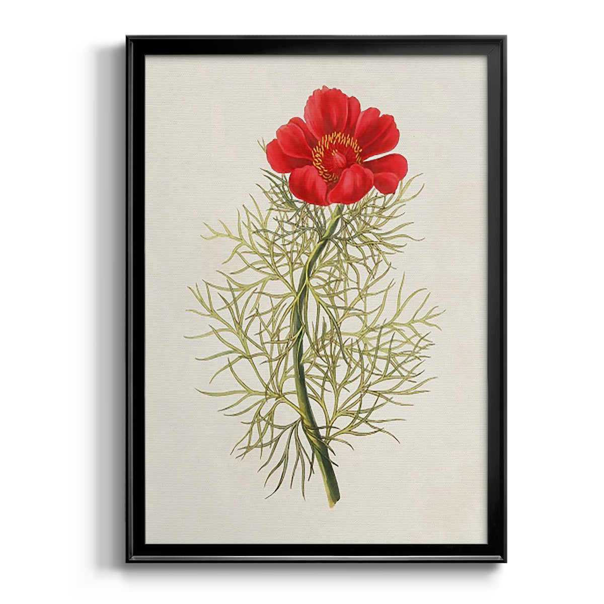 Flowers of the Seasons VII - Modern Framed Canvas Print