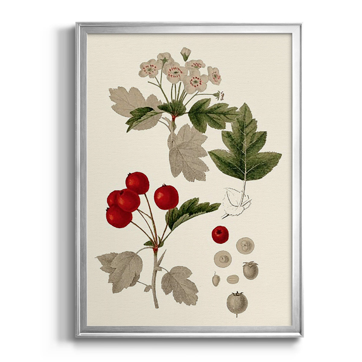 Leaves & Berries III - Modern Framed Canvas Print