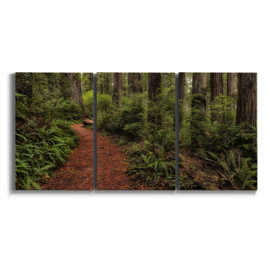 Three-panel canvas wall art featuring forest trail landscape photograph on white background.