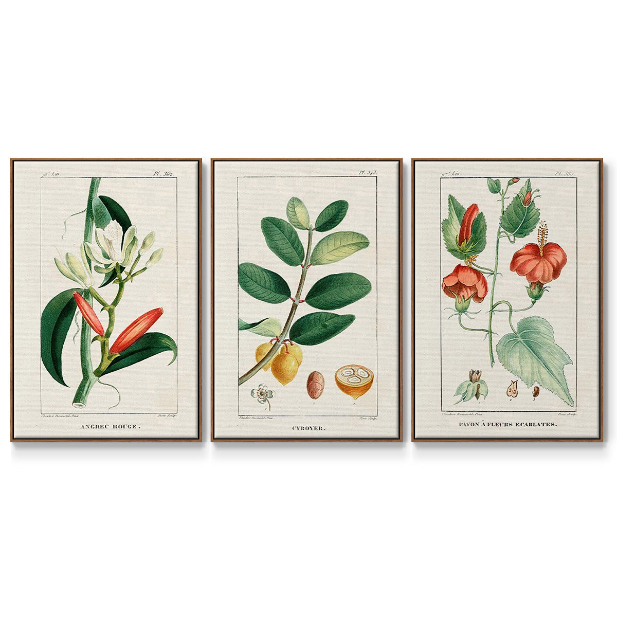 Turpin Tropical Botanicals IV - Framed Premium Gallery Wrapped Canvas L Frame 3 Piece Set - Ready to Hang