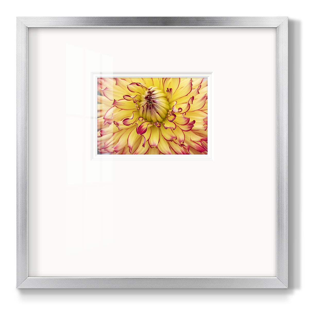 Blooms II- Premium Framed Print Double Matboard