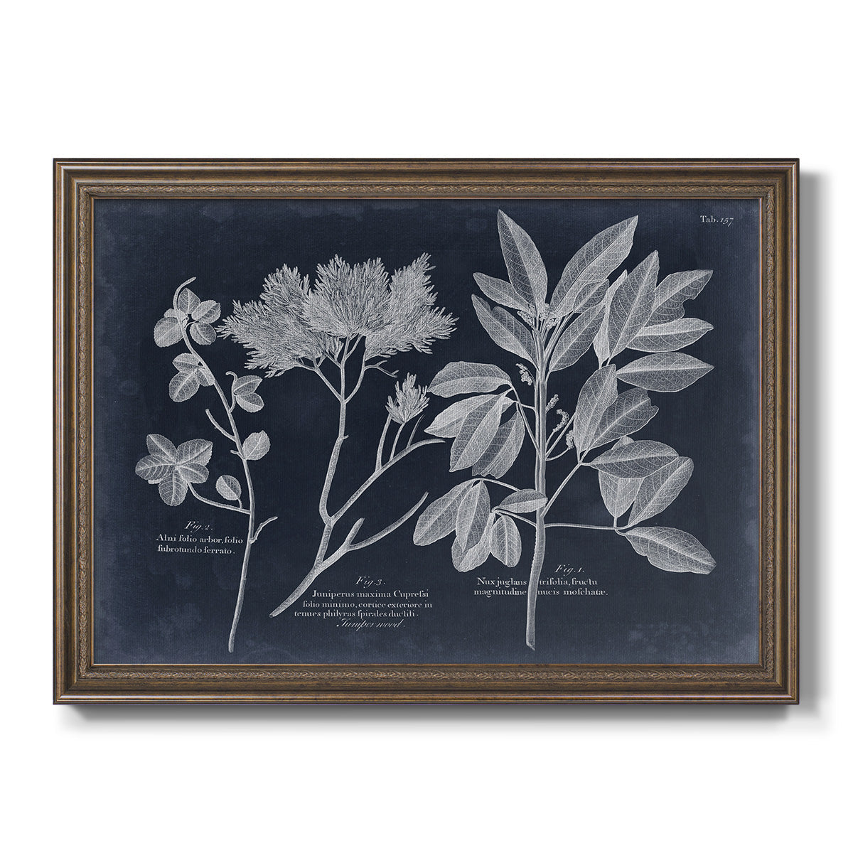 Foliage on Navy VI Premium Framed Canvas- Ready to Hang