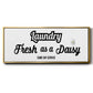 Daisy Laundry - Floater Framed Canvas Print