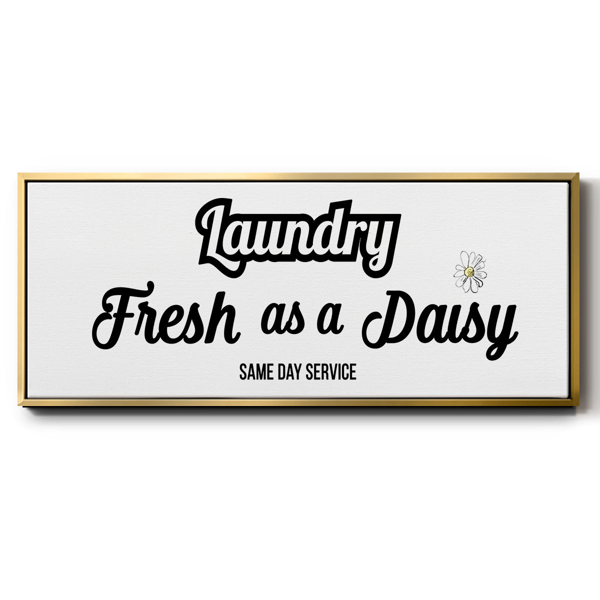 Daisy Laundry - Floater Framed Canvas Print
