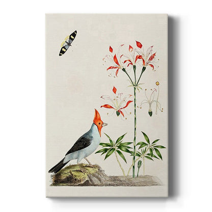 Red-Crested Cardinal and Peruvian Lily, 1796 - Canvas Art Print