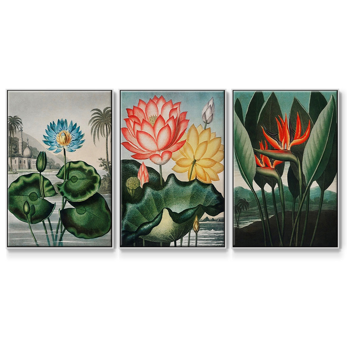 Temple of Flora IV - Framed Premium Gallery Wrapped Canvas L Frame 3 Piece Set - Ready to Hang