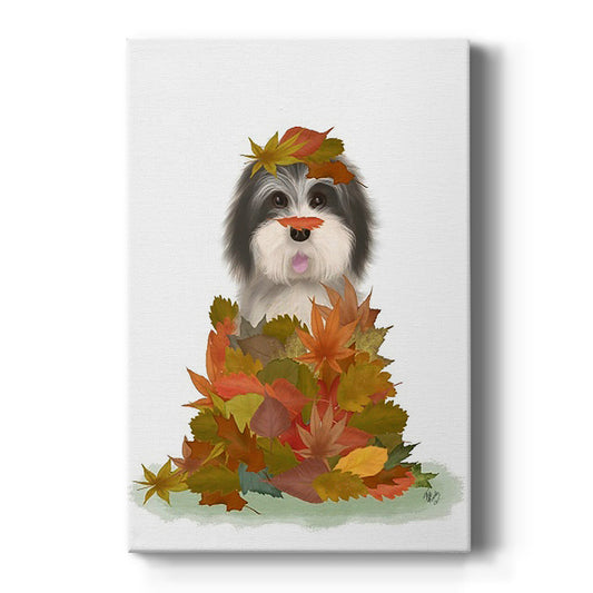 Landed in Autumn, Black and White Dog - Canvas Art Print