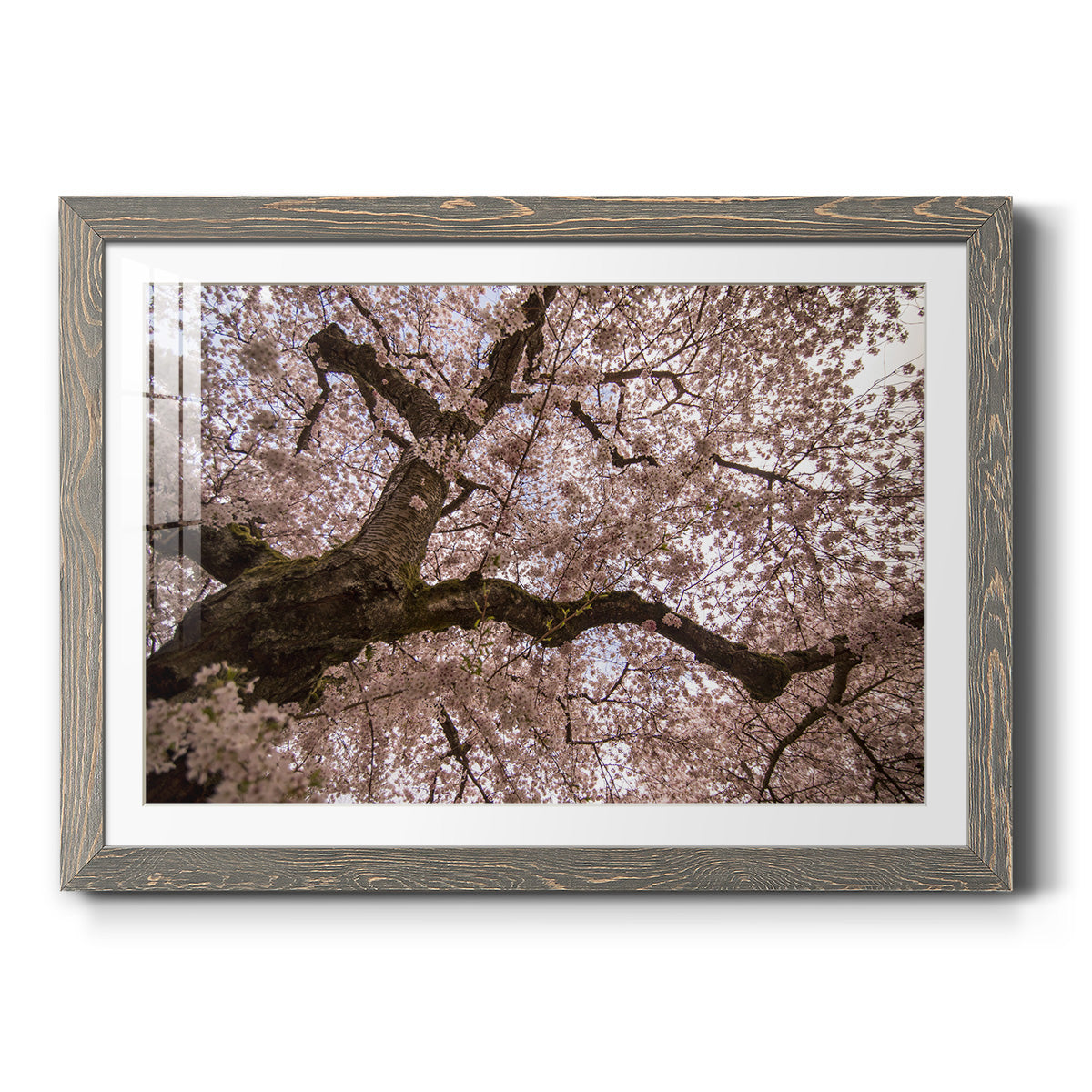 Spring's Arrival - Barnwood Framed Art Print