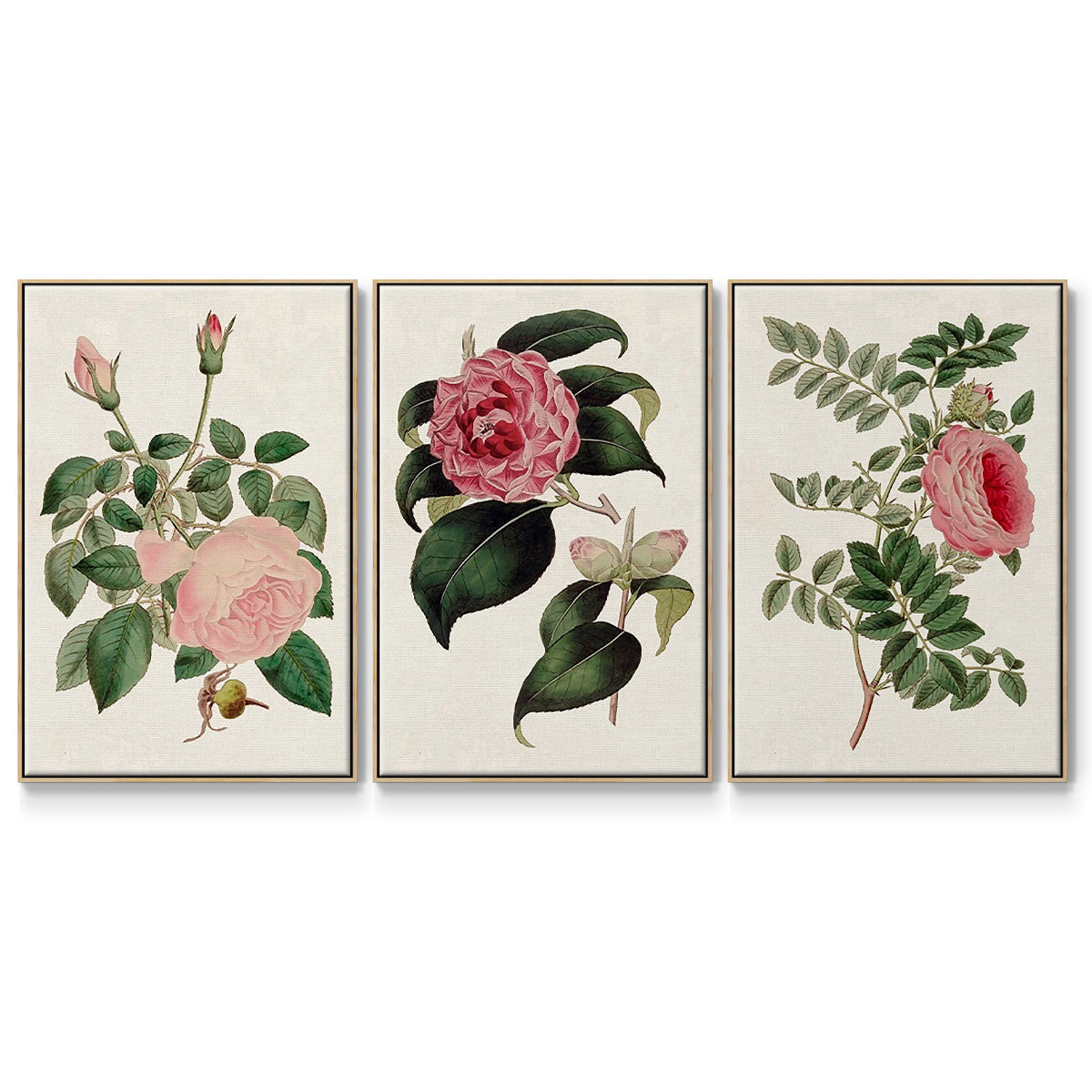 Pink Floral Mix I - Framed Premium Gallery Wrapped Canvas L Frame 3 Piece Set - Ready to Hang