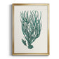 Antique Coastal Coral VIII - Modern Framed Canvas Print