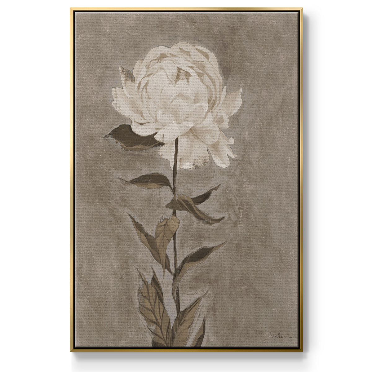Pretty as a Peony I  -  Framed Canvas Print