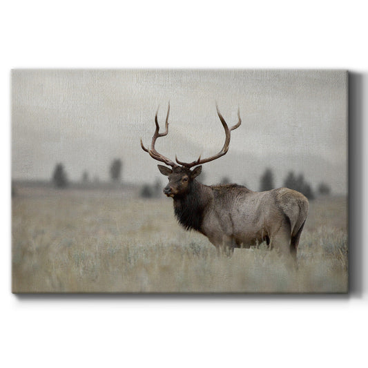 Grand Elk - Canvas Art Print