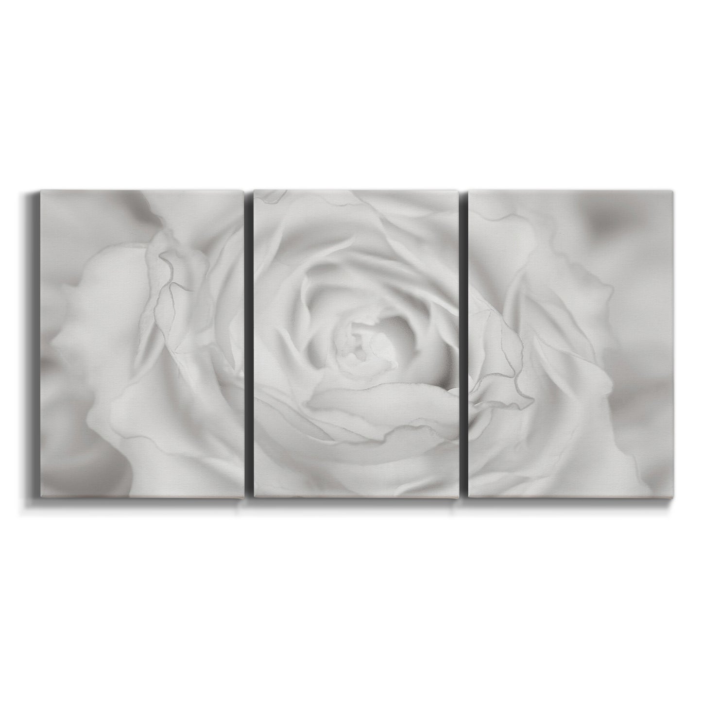 Three-panel canvas wall art featuring monochrome rose study photograph on white background.
