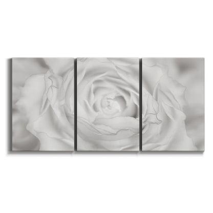 Three-panel canvas wall art featuring monochrome rose study photograph on white background.