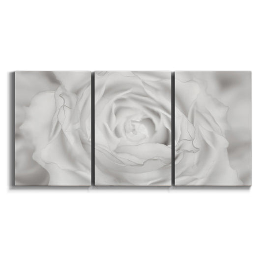 Three-panel canvas wall art featuring monochrome rose study photograph on white background.