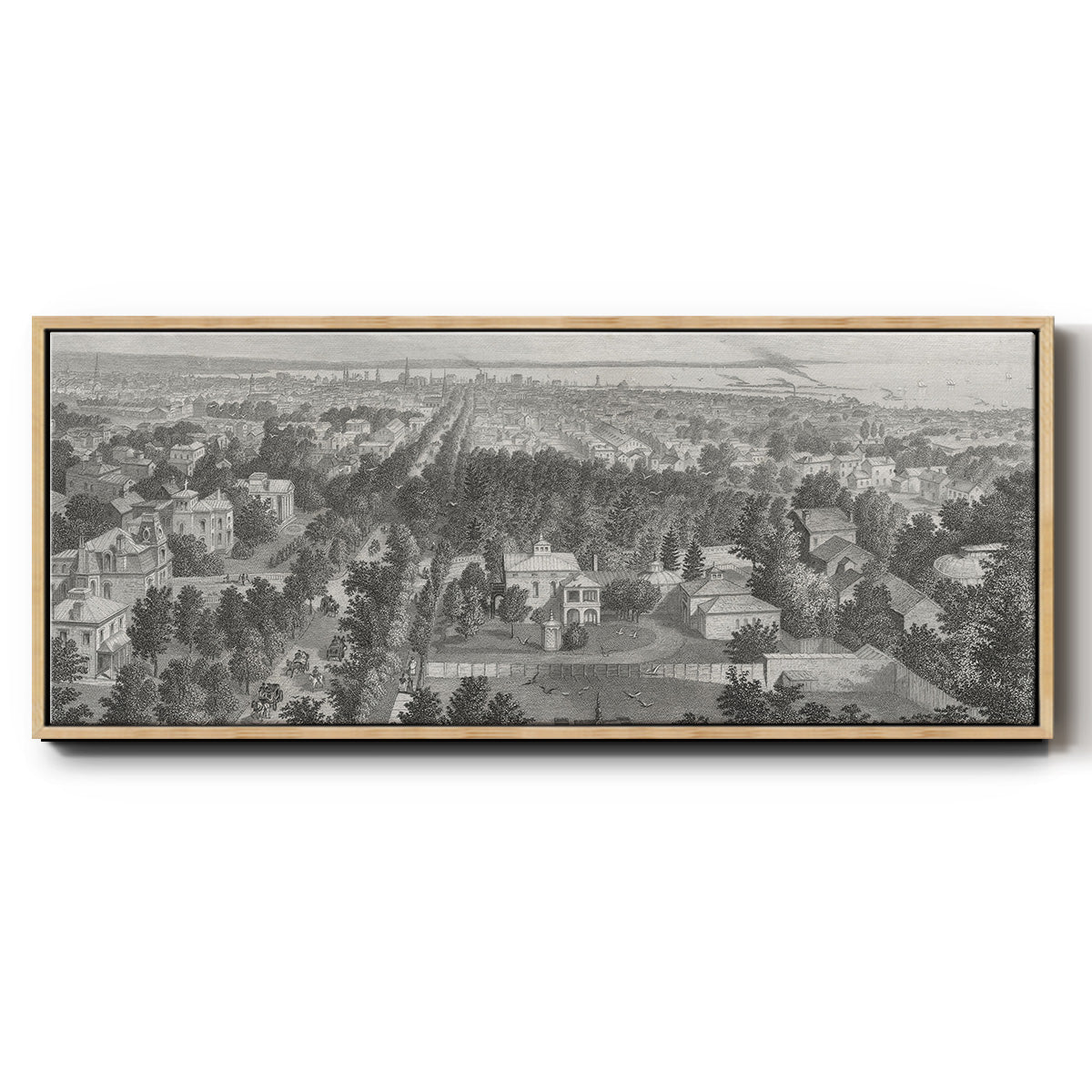 City of Buffalo - Floater Framed Canvas Print