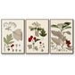 Leaves & Berries I - Framed Premium Gallery Wrapped Canvas L Frame 3 Piece Set - Ready to Hang