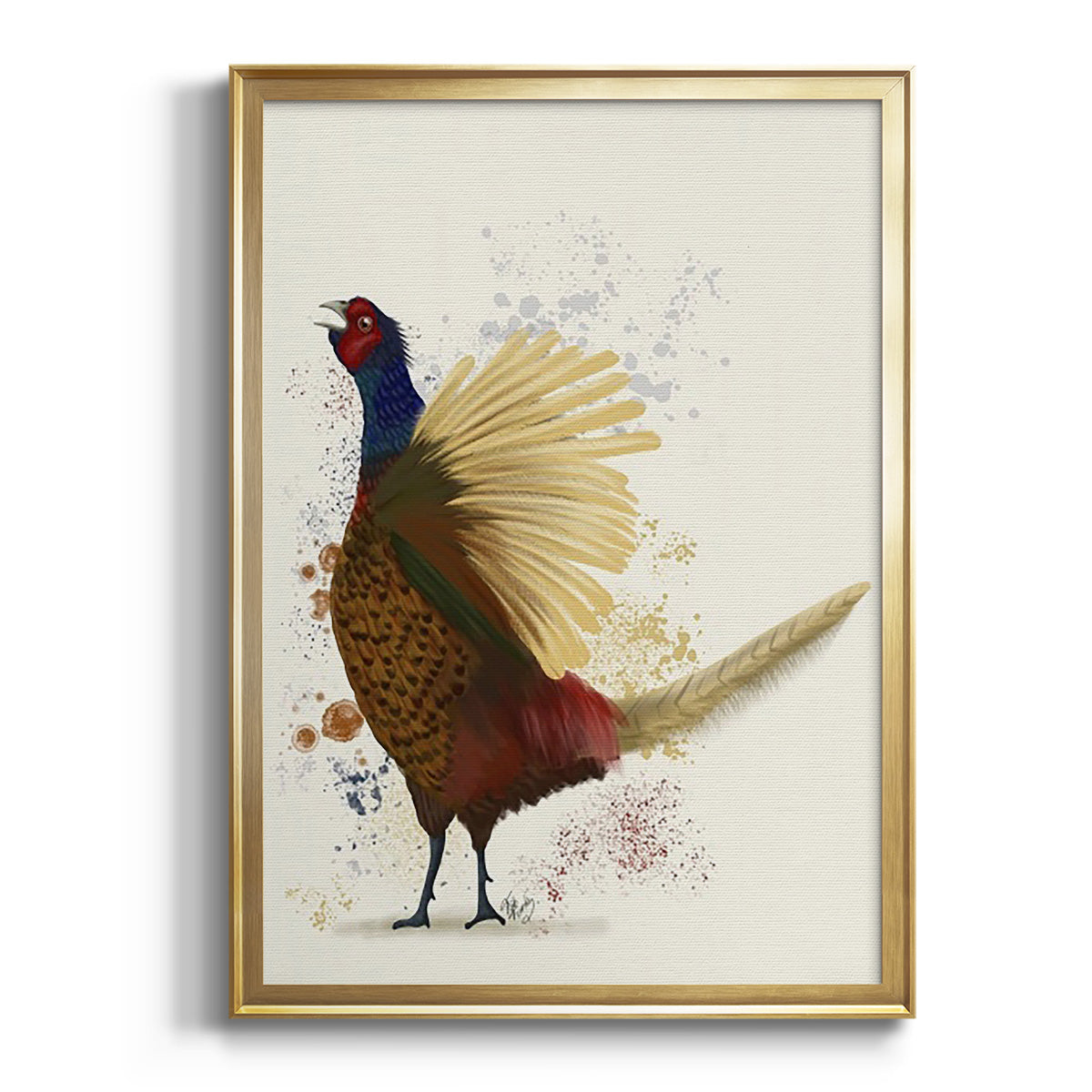 Pheasant Splash 8 - Modern Framed Canvas Print