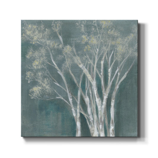 Ethereal Birches I - Canvas Art Print