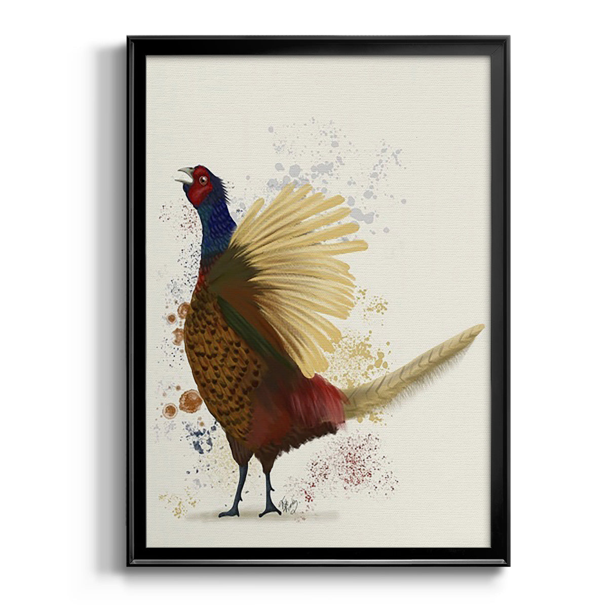 Pheasant Splash 8 - Modern Framed Canvas Print