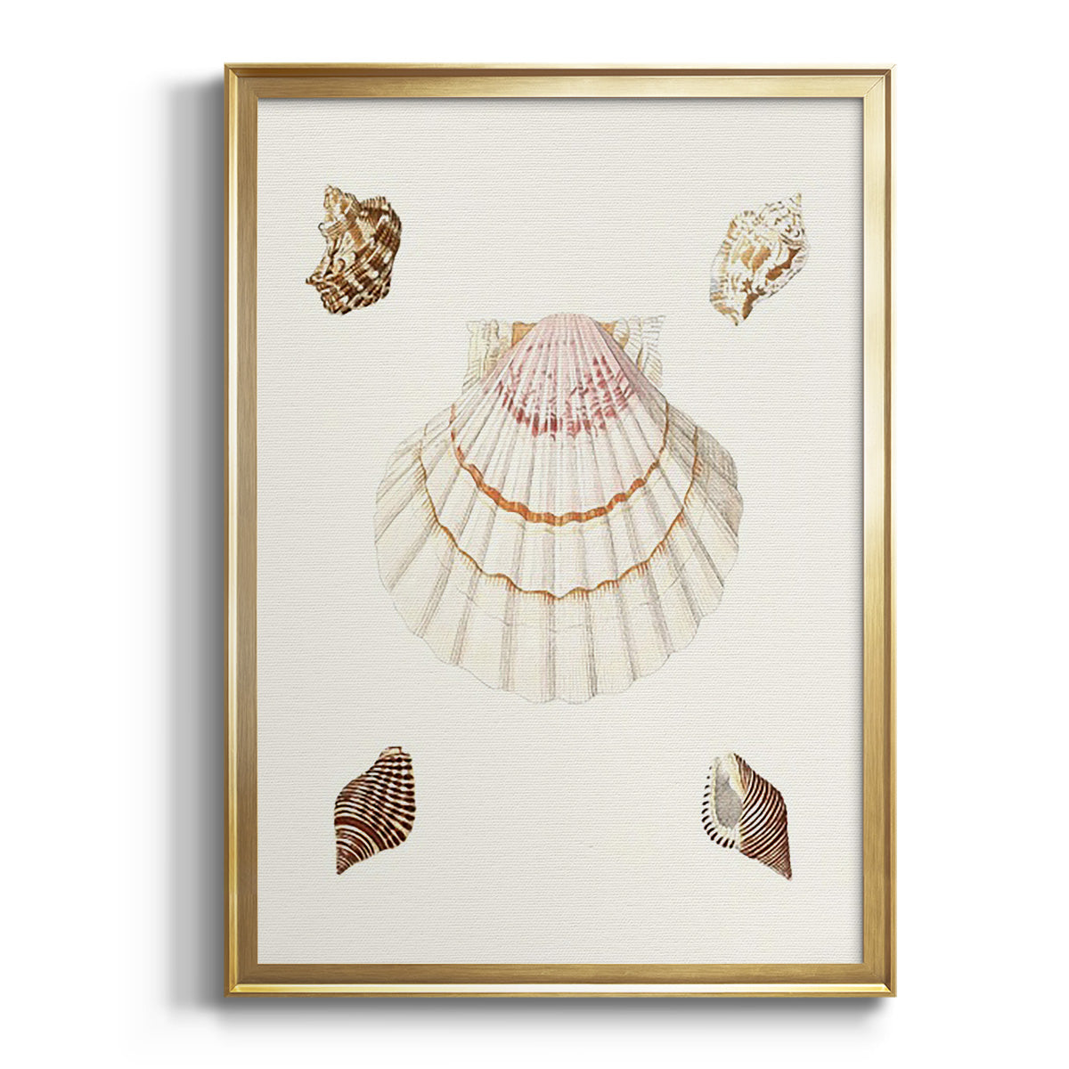 Pastel Knorr Shells IV - Modern Framed Canvas Print