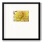 Blooms I Premium Framed Print Double Matboard