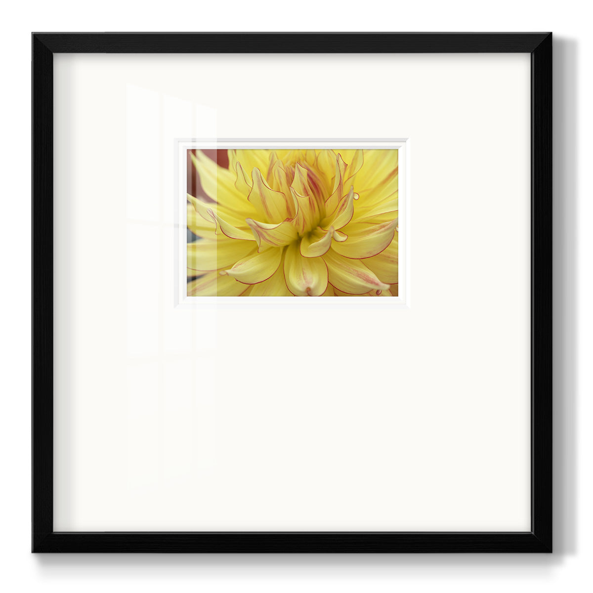 Blooms I Premium Framed Print Double Matboard