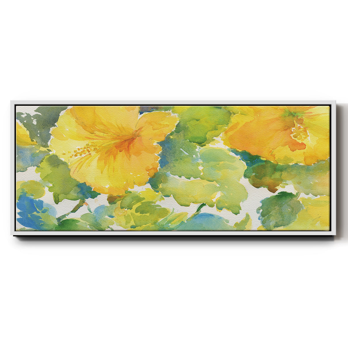 Citrus Hibiscus - Floater Framed Canvas Print