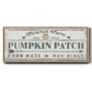 Pumpkin Patch II - Floater Framed Canvas Print