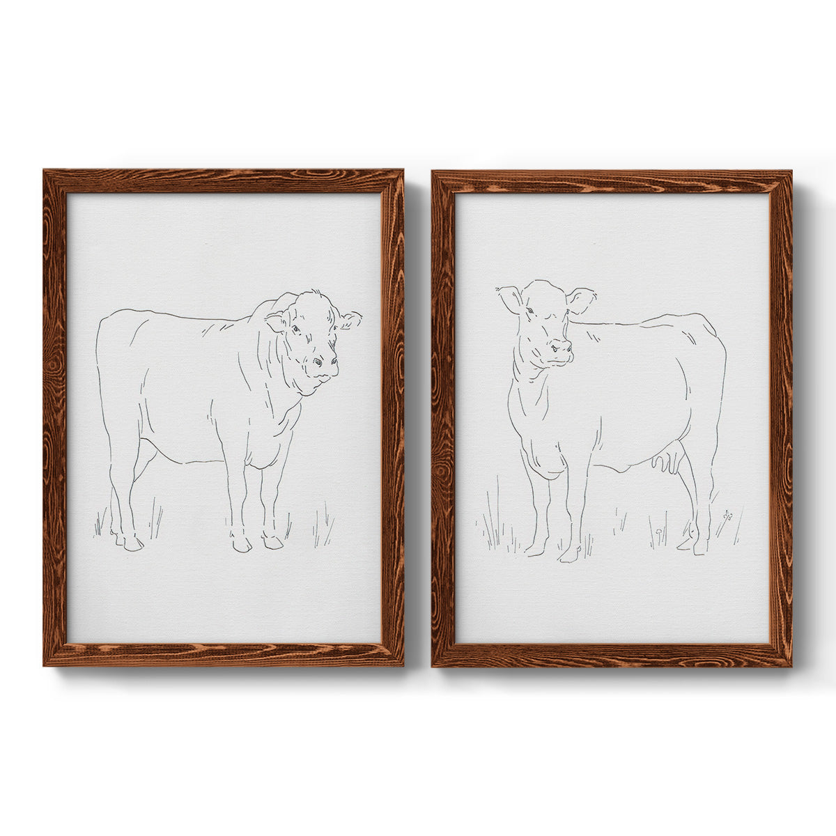 Set of two maple barnwood framed canvas prints featuring two minimalist livestock sketches featuring simple contour drawings of standing cows.