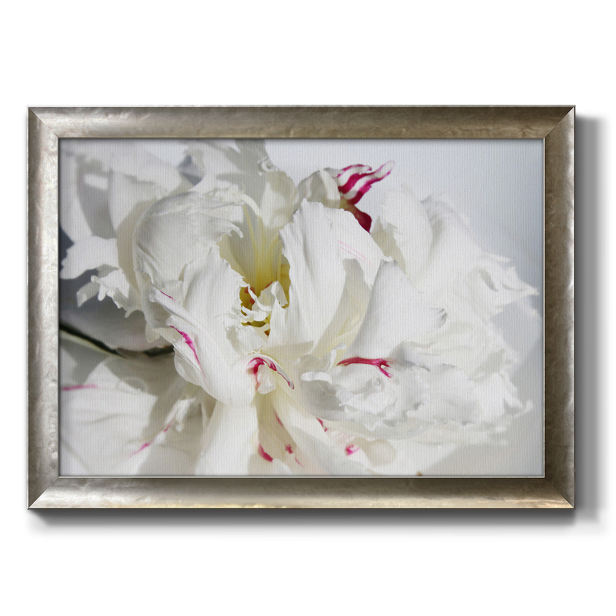 Breathless I Premium Framed Canvas- Ready to Hang