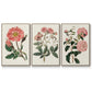 Pink Floral Mix IV - Floater Framed Canvas Set
