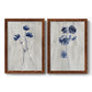 Set of two maple barnwood framed canvas prints featuring two rustic monochrome botanical paintings featuring blue wildflower stems on weathered neutral paper.