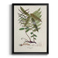 Botanical Society Ferns VI - Modern Framed Canvas Print