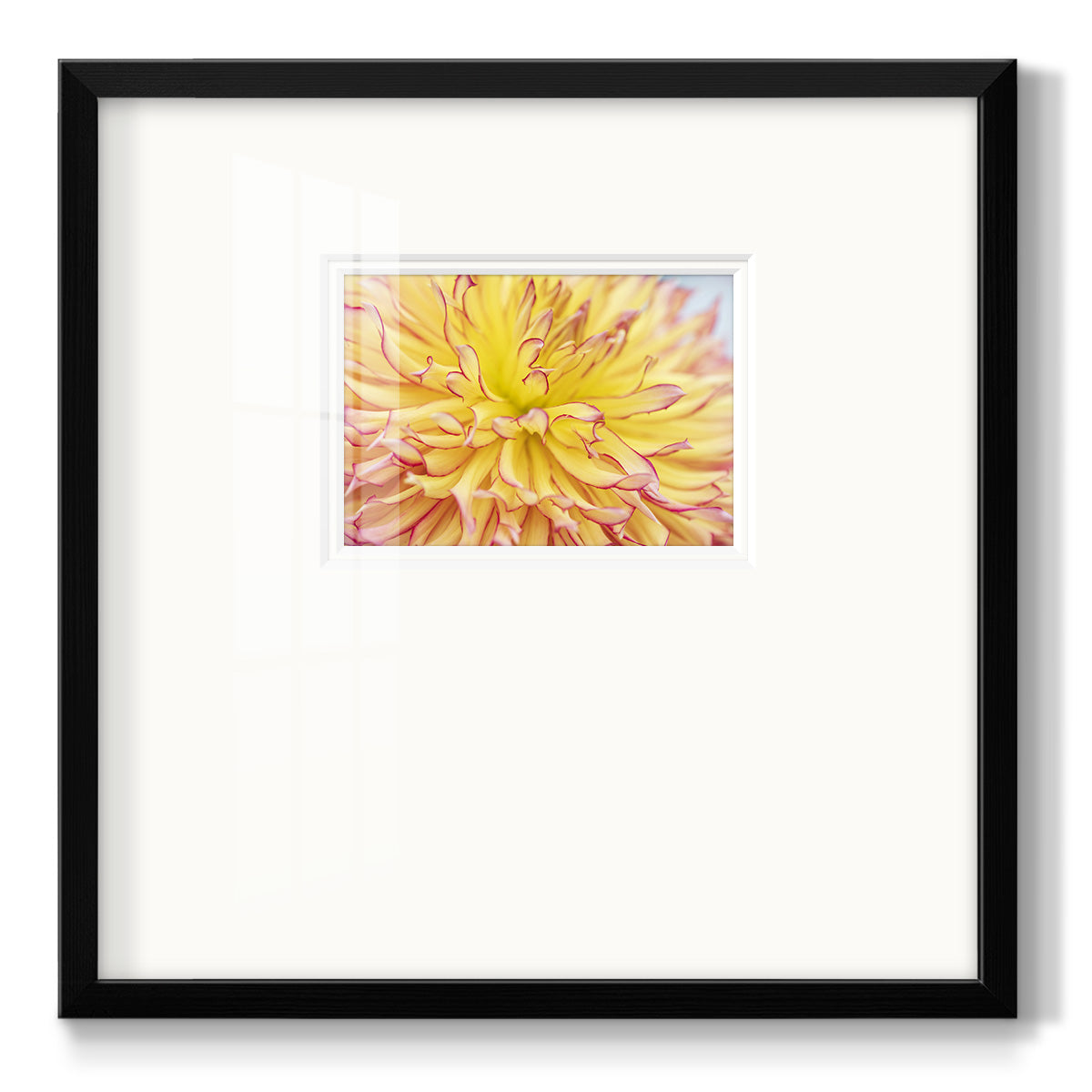 Blooms III - Double Matboard Framed Print