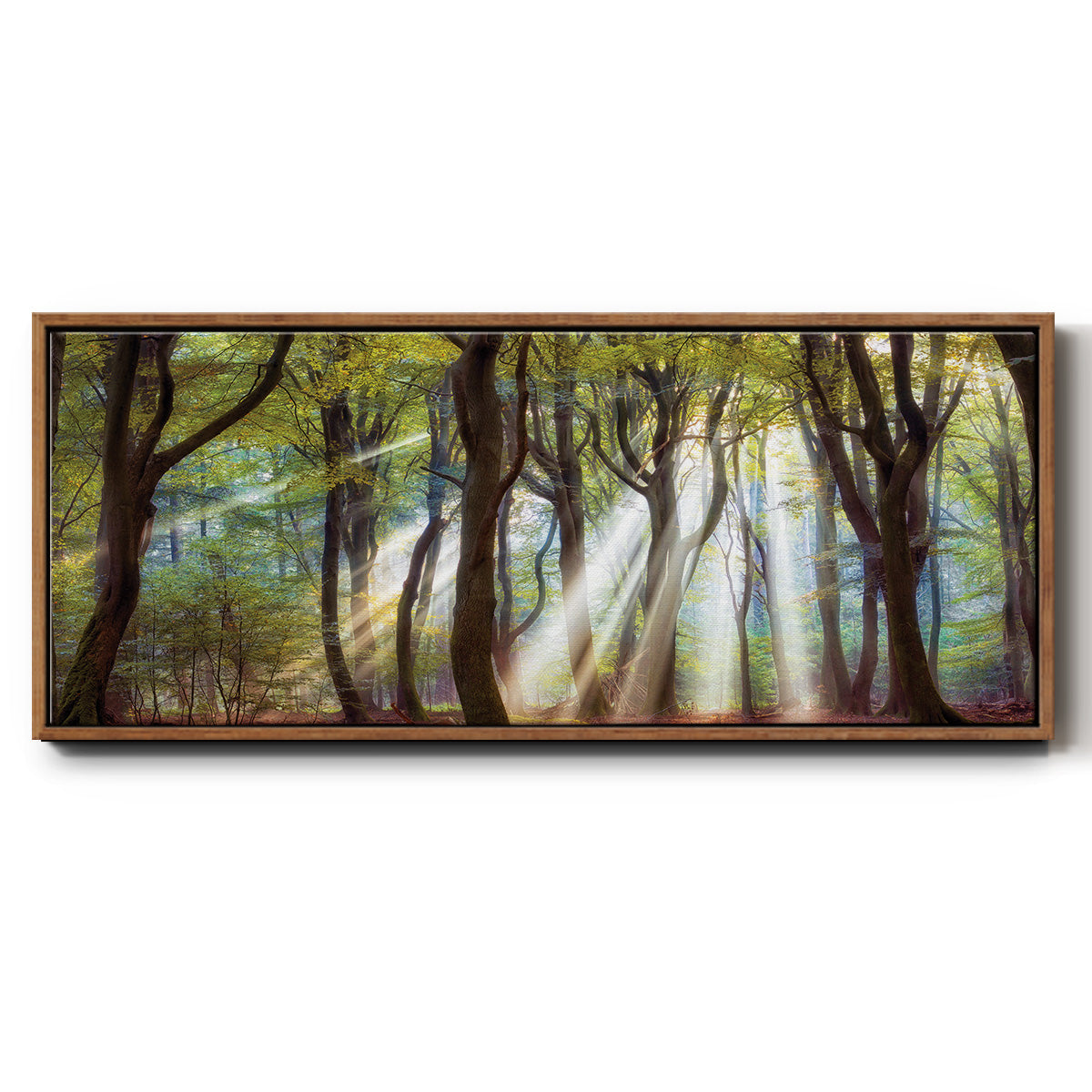 Majestic Morning - Floater Framed Canvas Print
