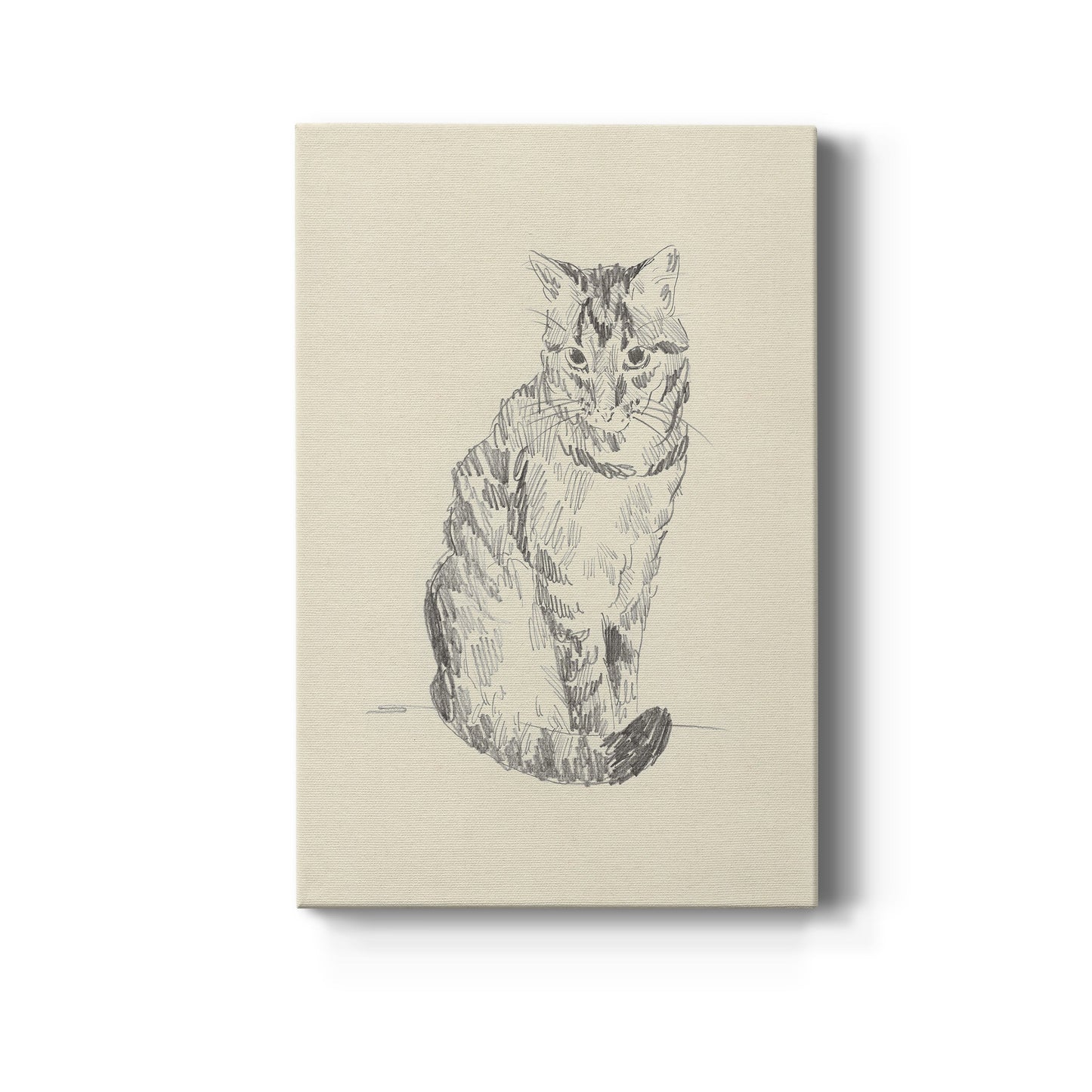 House Cat I Premium Gallery Wrapped Canvas - Ready to Hang