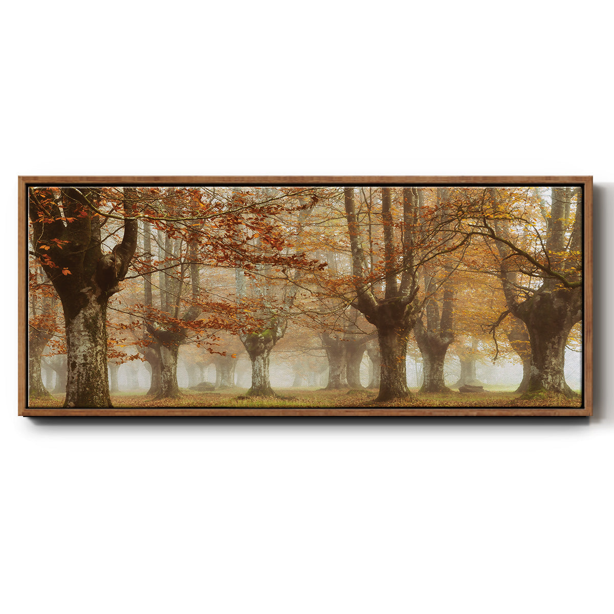 Misty Pan - Floater Framed Canvas Print