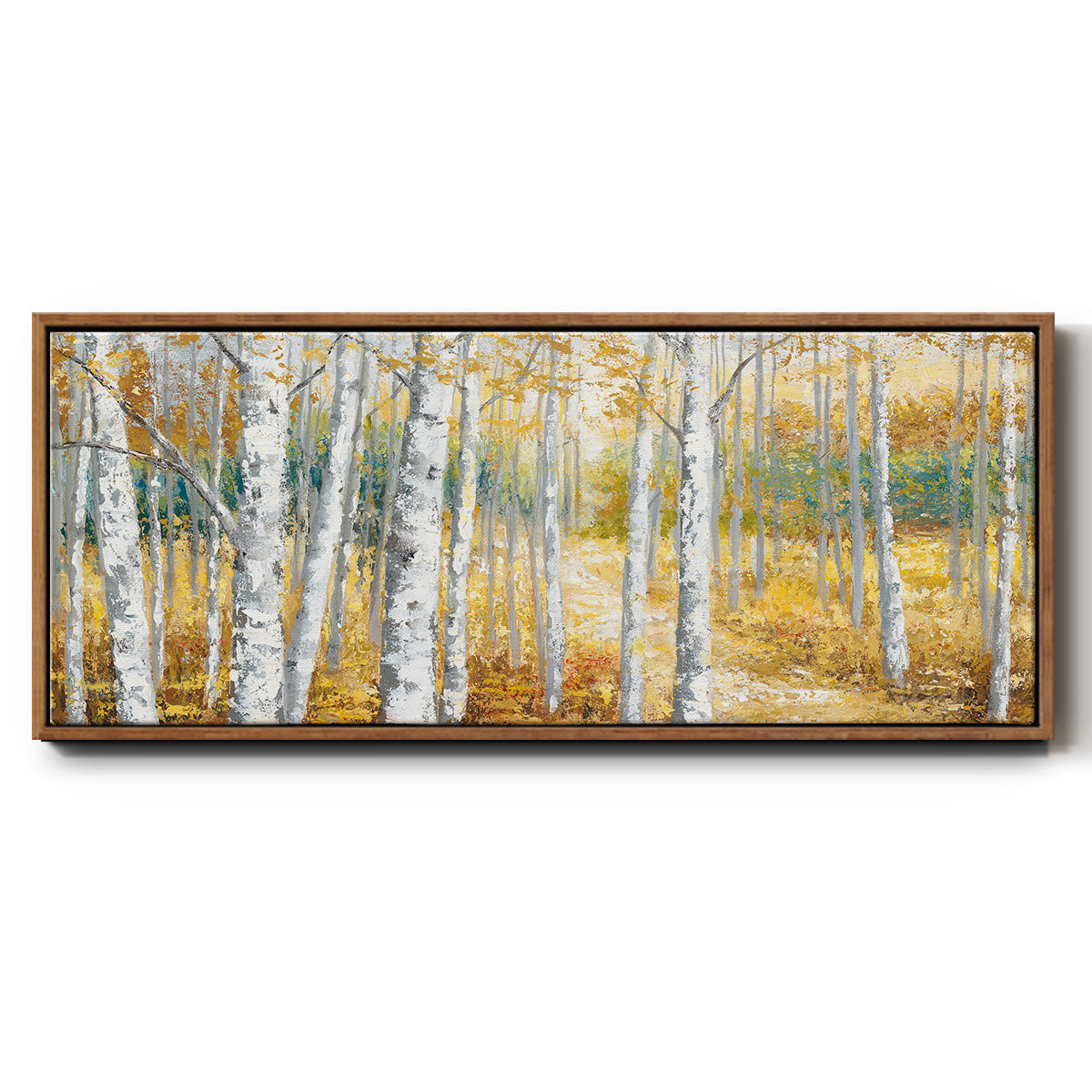 Birch Path II - Floater Framed Canvas Print