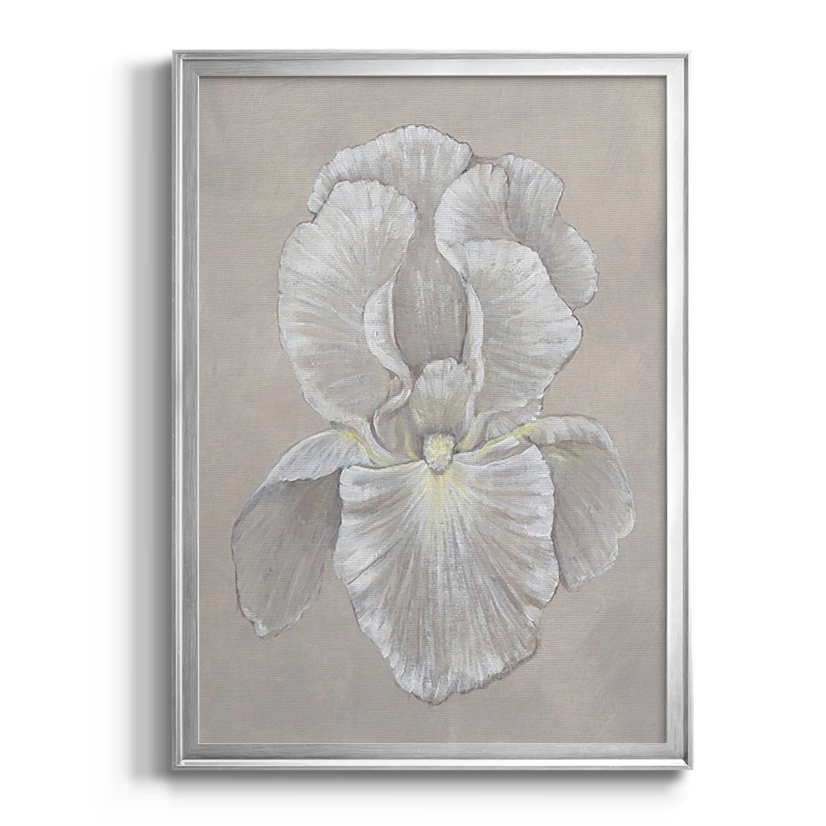 White Iris II - Modern Framed Canvas Print