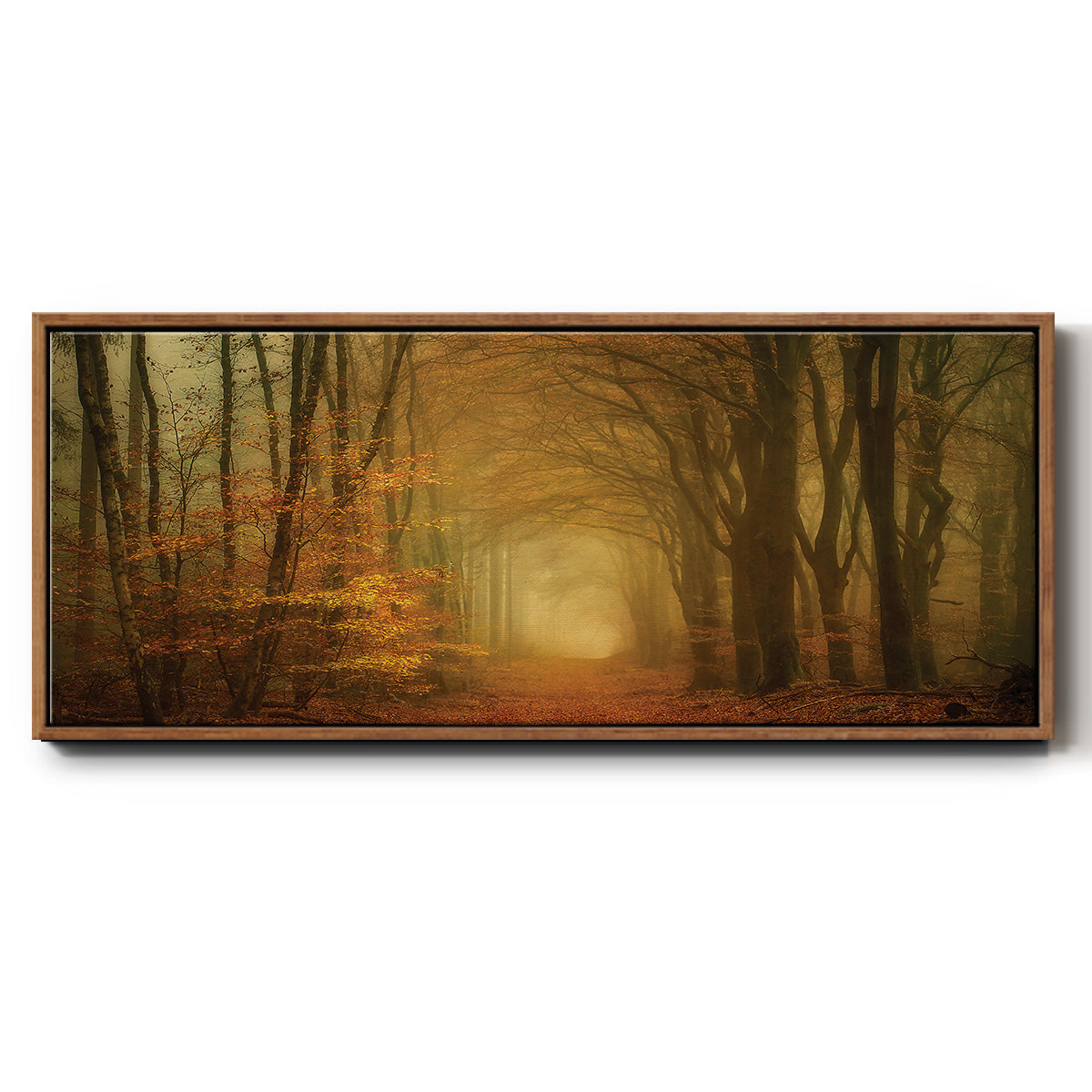 Early Light - Floater Framed Canvas Print